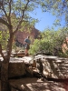 PICTURES/Fay Canyon Trail - Sedona/t_George1.jpg